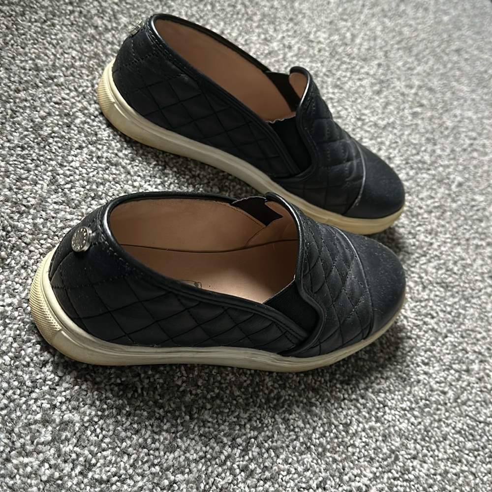 steve maddens